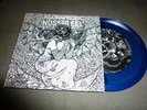 AGORAPHOBIC NOSEBLEED /INSECT WARFARE 5
