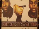 DIFFERENT TEEP 2LPs la rime urbaine 1997 IDEAL J RARE
