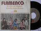 FLAMENCO 7