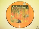 Slayer - Hell Awaits Picture Disk LP Ltd ED : 2887