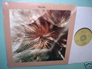 SEEDS Marcus Allen Private Press New Age Psych LP PINA
