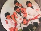 THE BEATLES YESTERDAY AND TODAY LP PICTURE DISC BUTCHER