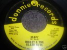 Rare Cleveland Garage 45/ Mickey & The Clean Cuts