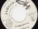 NORTHERN SOUL 45 RPM-EDWARD HAMILTON & THE FIFES-JAMECO