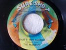 The Malibus Sure Shot 45 Gee Baby Northern Soul Promo