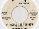 SUNNY & THE SUNLINERS if i could.. RPR northern soul 45