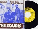 EQUALS Diversion 69 Wild Garage Freakbeat PS 45 LISTEN