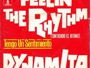 DYNAMITA i´ve got the rhythm MOD GARAGE DANCER fuzz 45