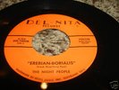 RARE CLEVELAND GARAGE 45/ NIGHT PEOPLE/ DEL-NITA /NM