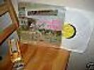 T.P. ORCH. POLY RYTHMO DE COTONOU BENIN vol.7 AFRO FUNK