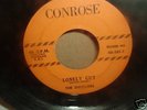 rare Doo Wop 45-The Dwellers-Lonely Guy on Conrose 101