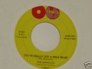 THE MIRACLES - You've Really Got a Hold on Me