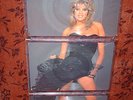 SAMANTHA FOX 