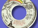 RAS MICHAEL & SONS OF NEGUS- NUMBERED DAYS- ZION DISCO