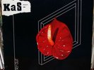 KAS PRODUCT:Try Out French coldwave minimal synth LP 82