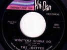 NORTHERN SOUL - IKETTES - WHAT'CHA GONNA DO - RARE