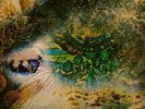 PINK FLOYD.A SAUCERFUL OF SECRETS. 1970 LP.PROG / PSYCH