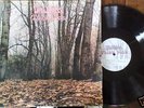 TWINK - THINK PINK -  RARE PSYCH SIRE US PRESSING