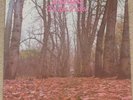 TWINK Think Pink - Akarma reissue of 1971 psych LP