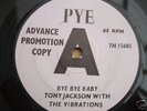 TONY JACKSON & THE VIBRATIONS- BYE BYE BABY PYE PROMO