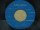 CHARLES PRYOR Funky Junkie RARE DISCO/FUNK 45 mp3