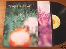 '95 Superchunk LP 