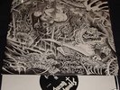 ABIGAIL / SYPHILITIC VAGINAS - Split LP - GISM - ZOUO