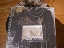 Portugal The Man Waiter: You Vultures LP clear/black