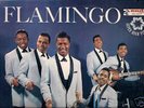 Flamingos, Orioles, Vibrations - 4 Doo-Wop LP's CV $265