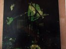 DEAD MEADOW Feathers Dbl G/F LP MINT