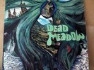 DEAD MEADOW Dead Meadow LP Transparent Vinyl MINT