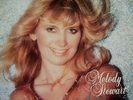 MODERN SOUL LP MELODY STEWART - action satisfaction