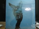 Sunny Day Real Estate / Rising Tide / New LP /