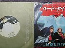 MOUNTAIN   JAPAN  7