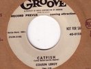 ROCKIN BLUES 45 COUSIN LEROY GOIN BACK HOME GROOVE 0123