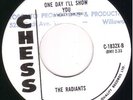 Northern Soul 45 -RADIANTS - Father Knows Best