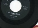 BLENDERS  45  CLASS   MY HEARTS DESIRE/LITTLE ROSE RARE