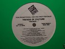 TRENDS OF CULTURE - TRENDZ... LP 1993 LORD FINESSE NOTP