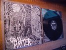 GRAY MATTER LP Food for Thought 1st Press Dischord NM