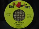 RODDIE JOY Come Back Baby RARE NORTHERN SOUL 45 mp3
