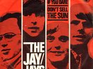 JAY-JAYS Come Back 1966 RARE Holland 45 GARAGE