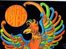 RARE BIRD.SELF TITLED.RARE ORIG UK LP.EX+.FREE P&P W/W.