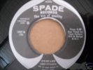 rare rockabilly bopper 45  its my life vern pullens