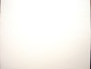 NEW ORDER Low Life 2009 180 gram test pressing lp MINT-