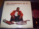 Bo Diddley   