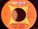 The Campers - Ballad Of Batman /Sonny Curtis & Crickets