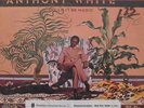LP / ANTHONY WHITE / COULD IT BE MAGIC