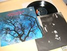 LP Amon Düül II,Phallus Dei,Erstpr mit Poster,Mint-