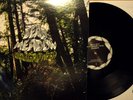 Dead Meadow-Old Growth 2 LP 180Gr NM Wooden Shjips