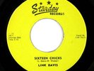 Link Davis   Sixteen Chicks   7